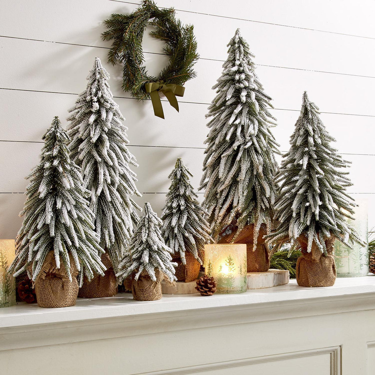 Snow Covered Trees OG  (Online Exclusive)