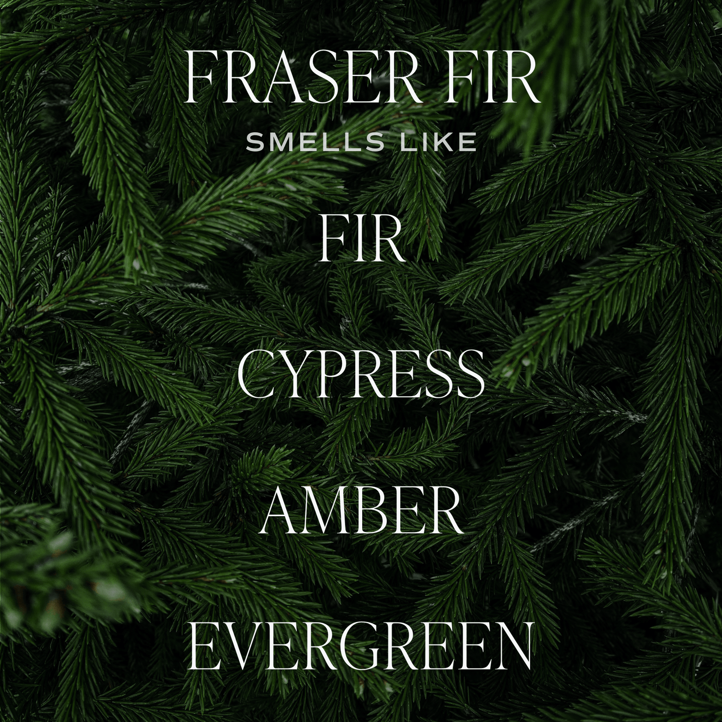 Fraser Fir Candle