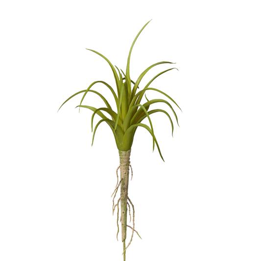 8" Green Airplant