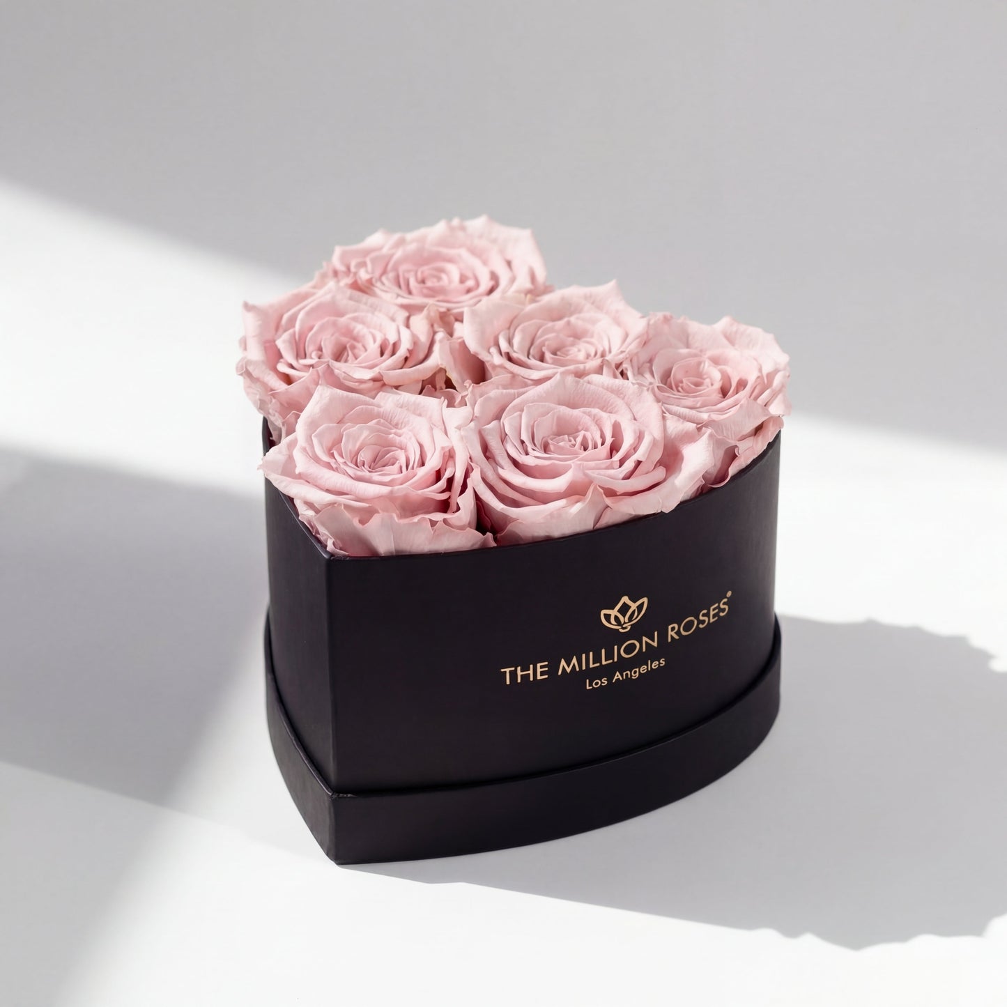 Baby Heart Black Box | Light Pink Roses  (Online Exclusive)