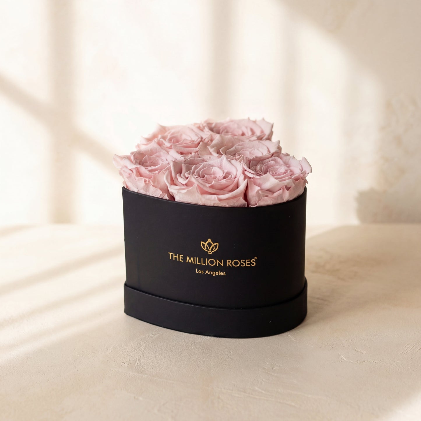 Baby Heart Black Box | Light Pink Roses  (Online Exclusive)