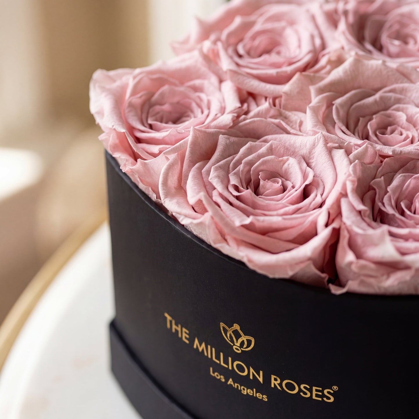 Baby Heart Black Box | Light Pink Roses  (Online Exclusive)