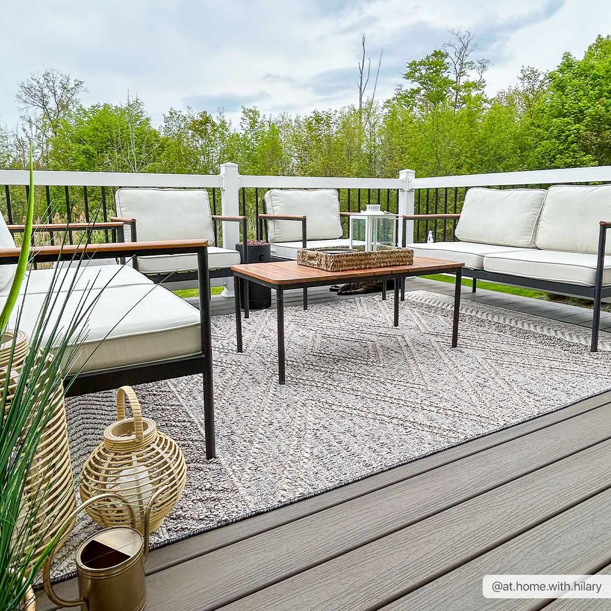 Beige Charcoal Areli Area Rug  (online exclusive