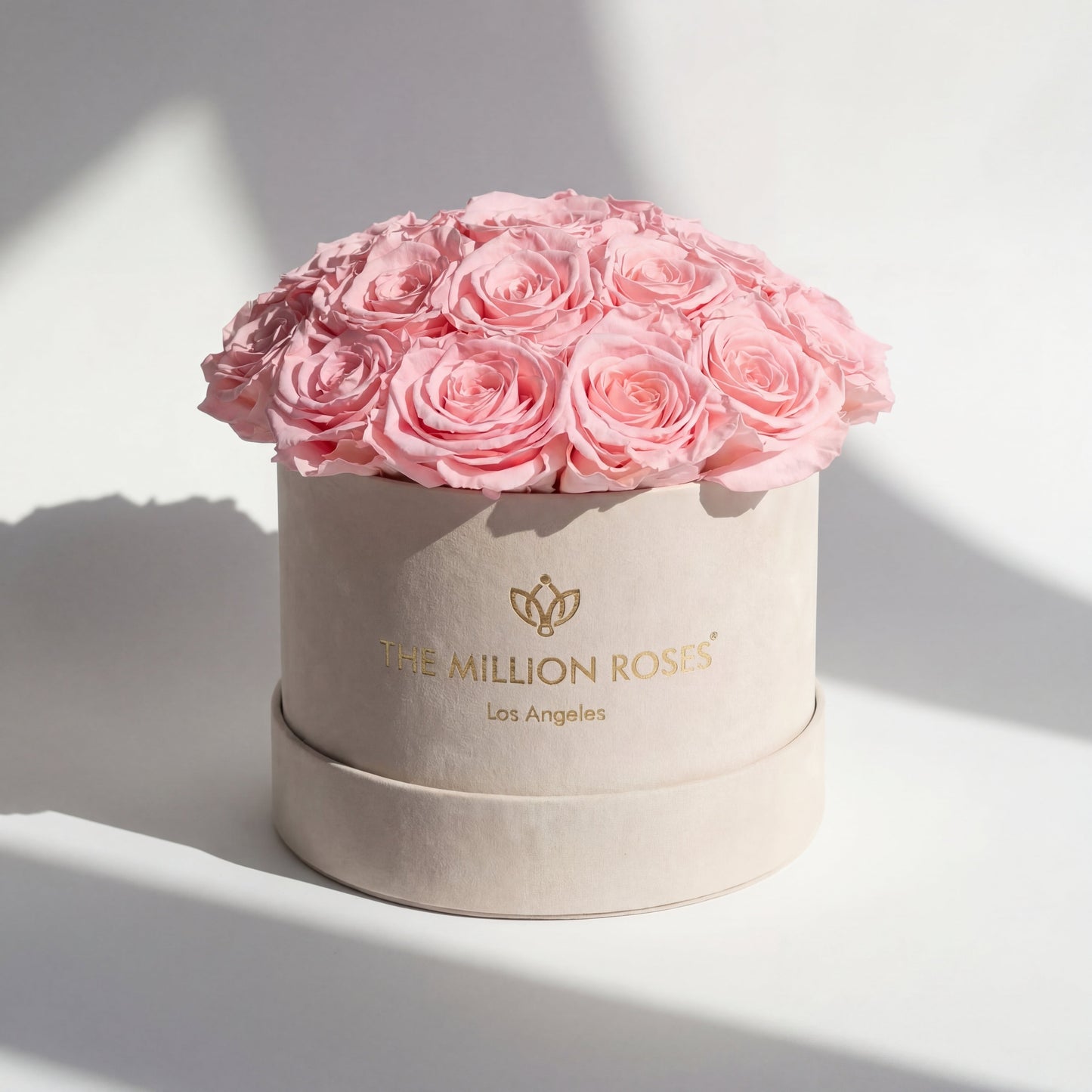 Classic Beige Suede Dome Box | Light Pink Roses  (Online Exclusive)