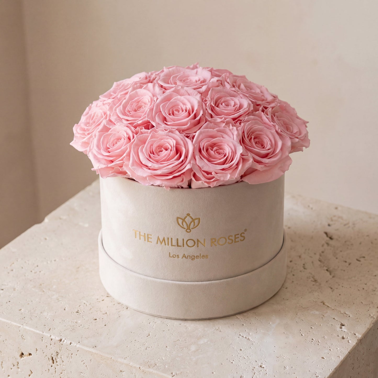 Classic Beige Suede Dome Box | Light Pink Roses  (Online Exclusive)