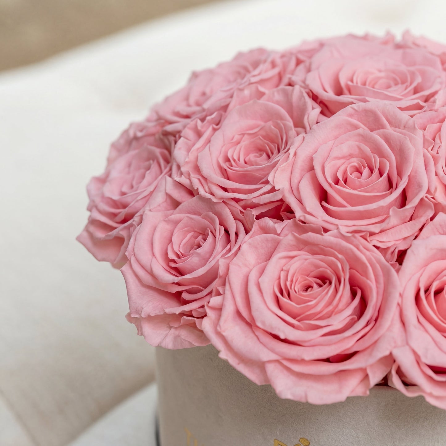 Classic Beige Suede Dome Box | Light Pink Roses  (Online Exclusive)