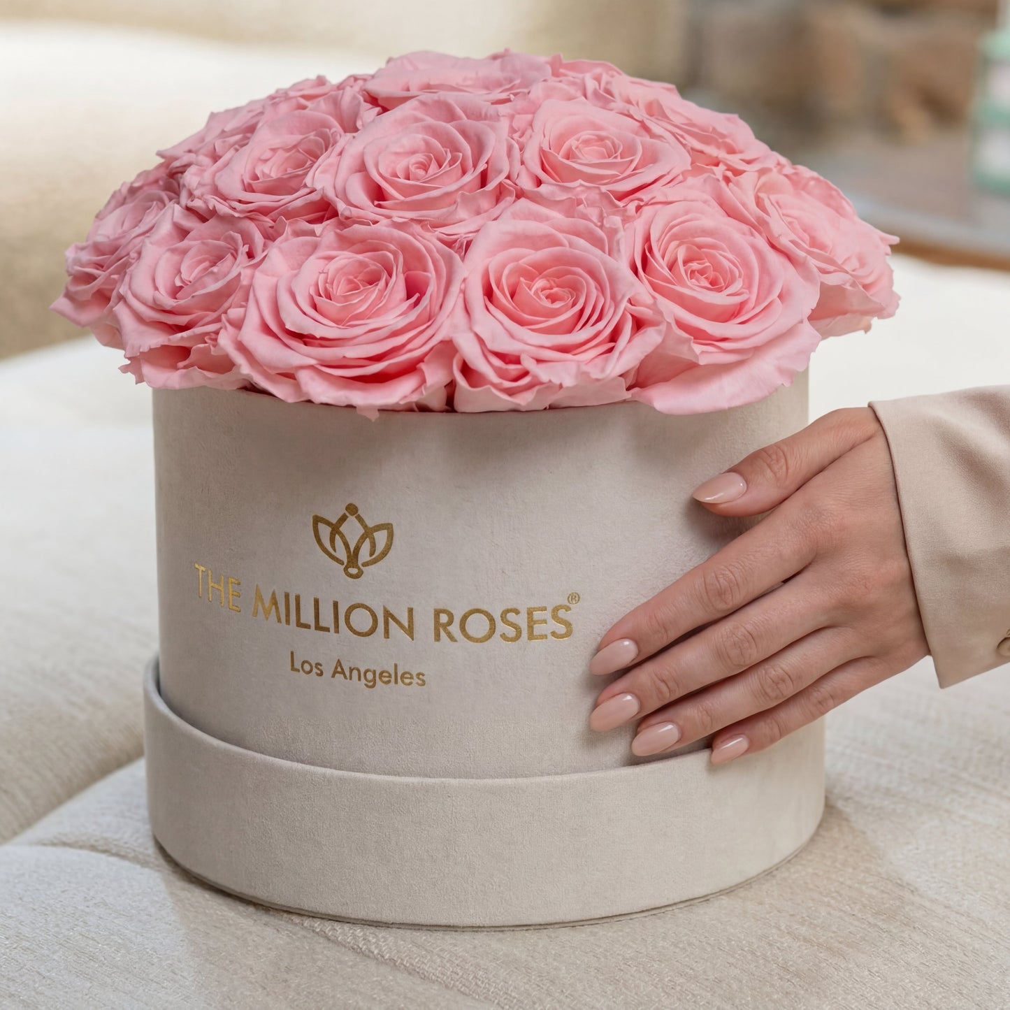 Classic Beige Suede Dome Box | Light Pink Roses  (Online Exclusive)