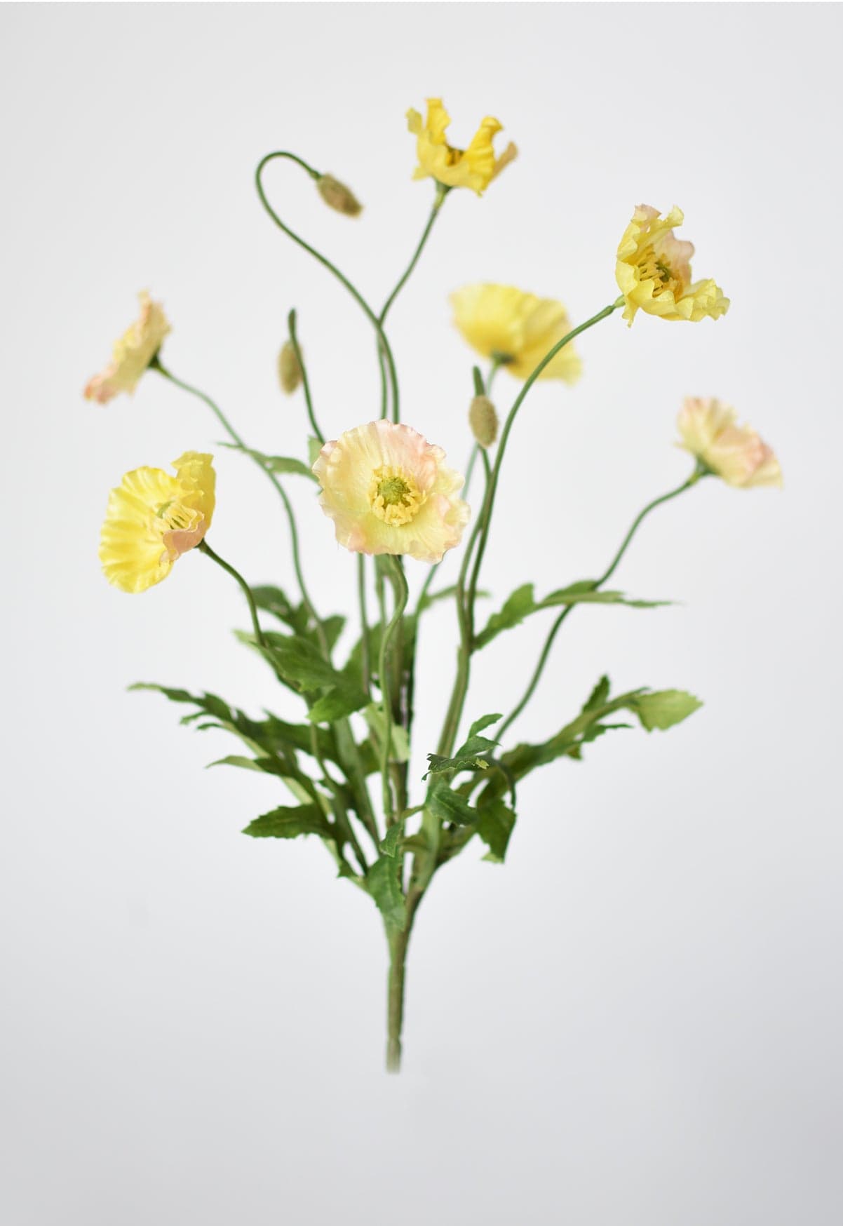 15" Faux Poppy Bush Yellow Bush (Online exclusive)