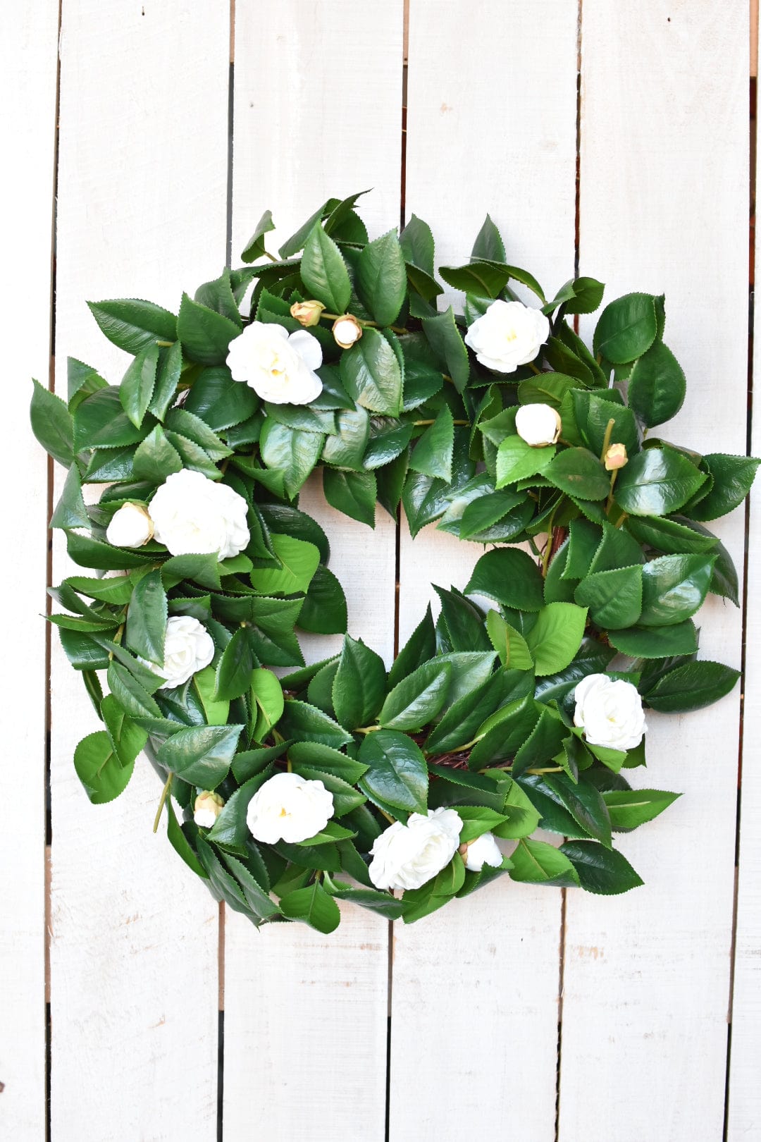 26" Faux White Camellia with Foliage Wreath (Online Exclusive)
