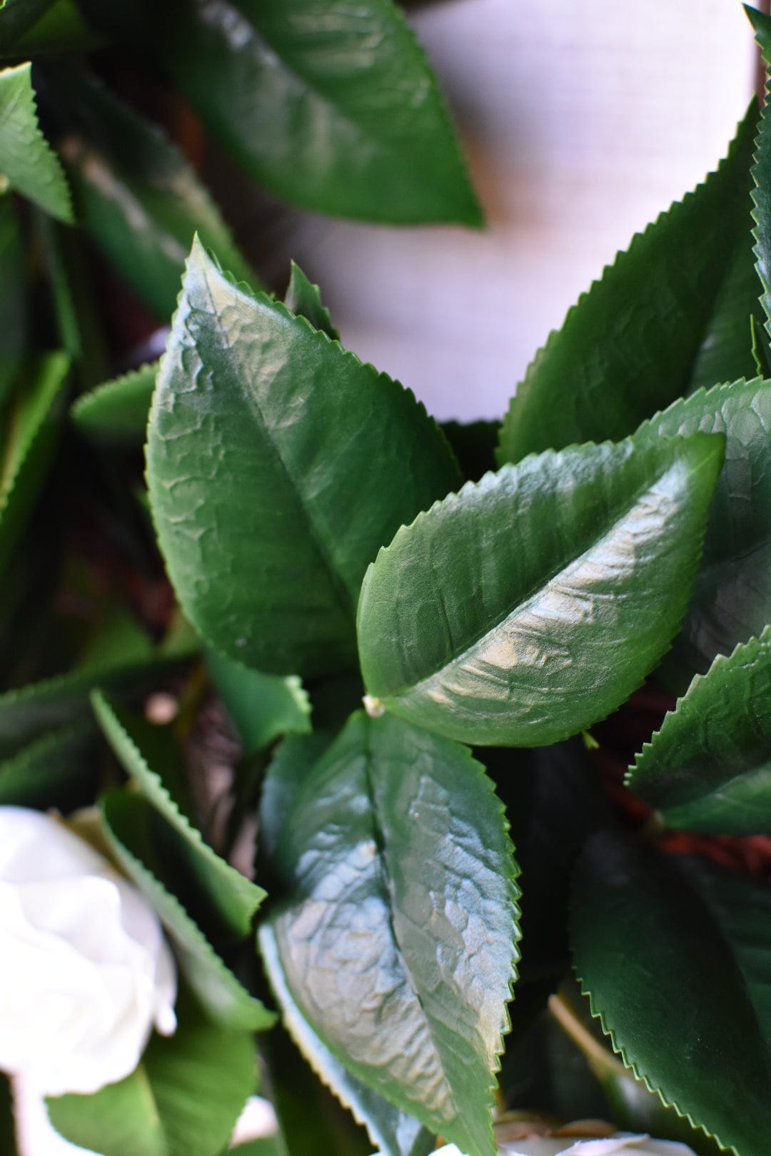26" Faux White Camellia with Foliage Wreath (Online Exclusive)