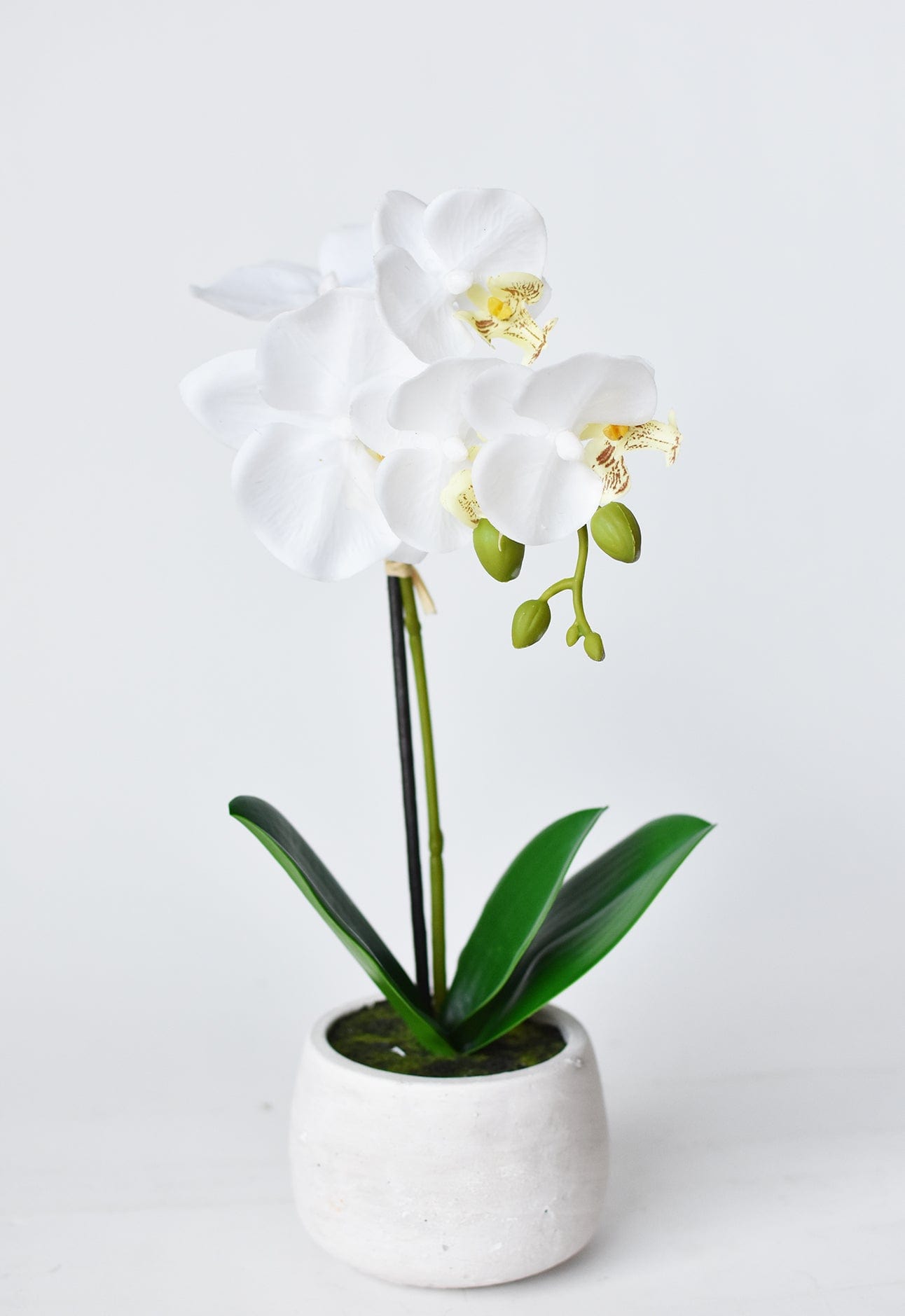 14" Faux Potted Orchid White (Online exclusive)