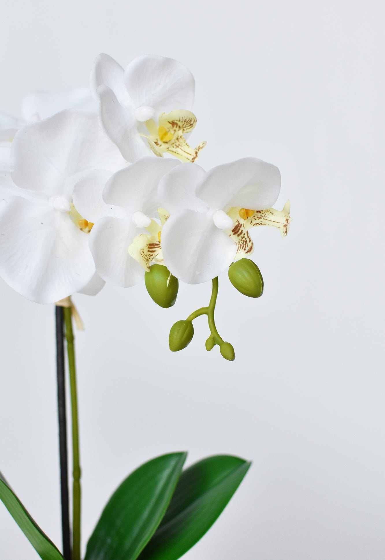 14" Faux Potted Orchid White (Online exclusive)