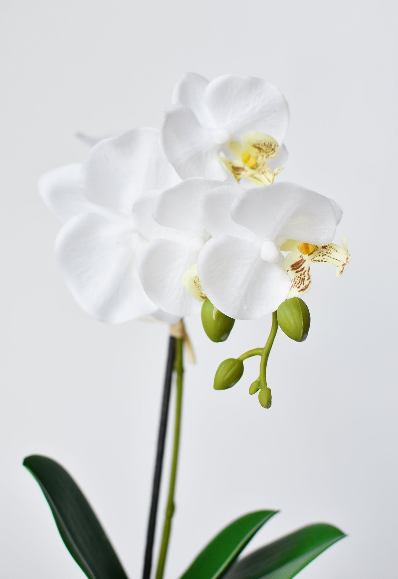 14" Faux Potted Orchid White (Online exclusive)