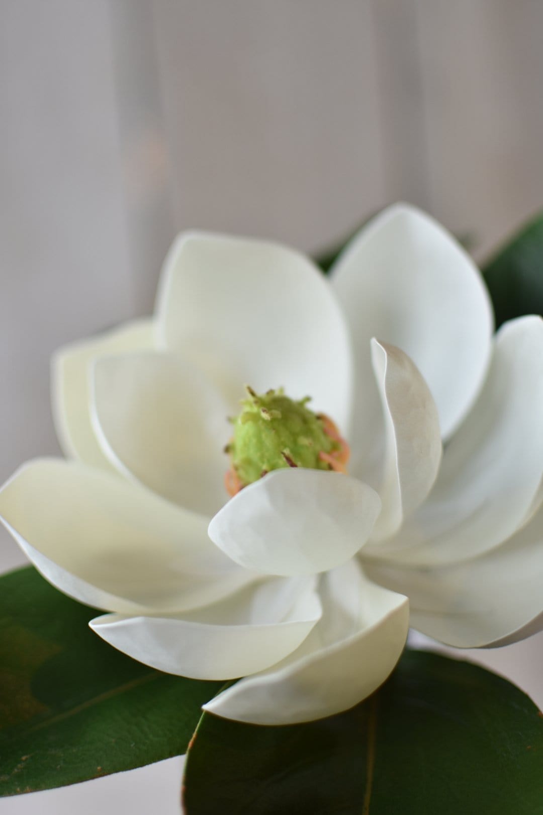 24" Faux Magnolia Blossom Stem (Online exclusive)