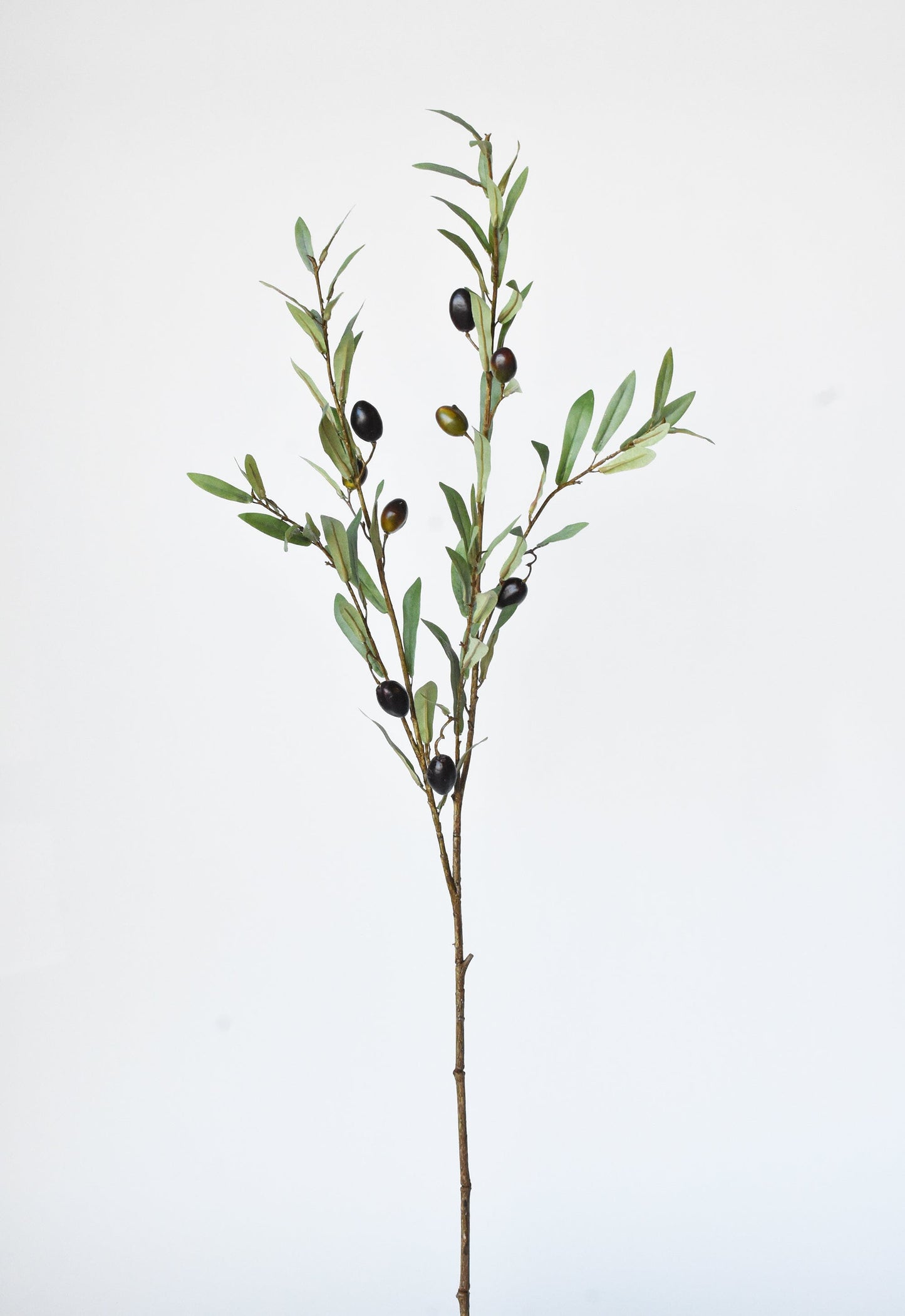 39" Faux Green Olive Stem  (online exclusive)