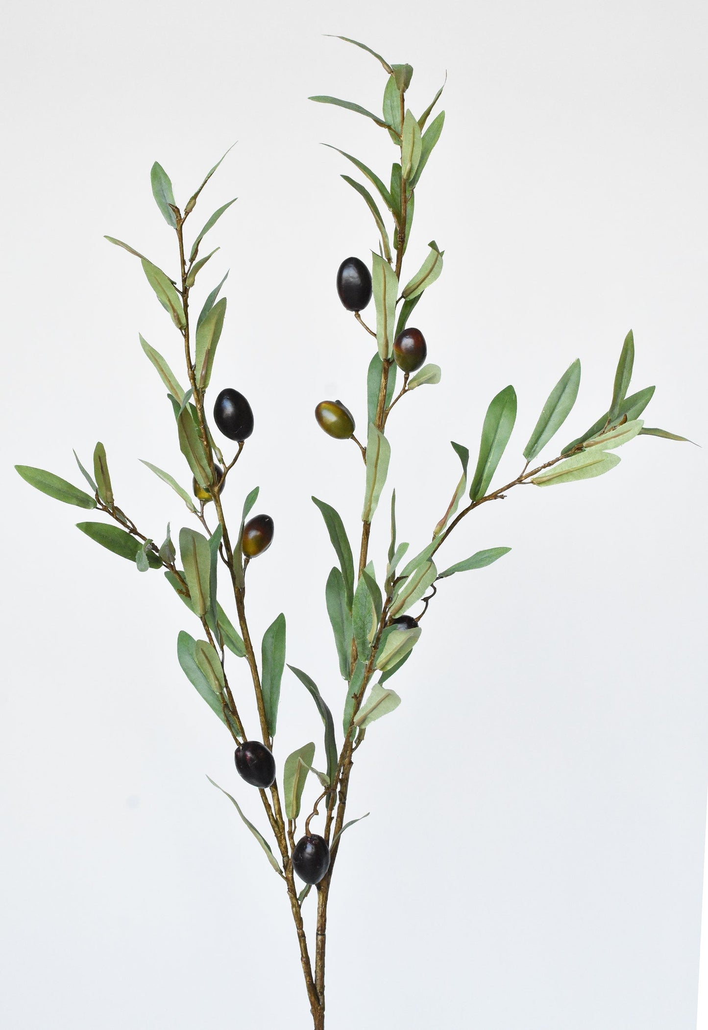 39" Faux Green Olive Stem  (online exclusive)