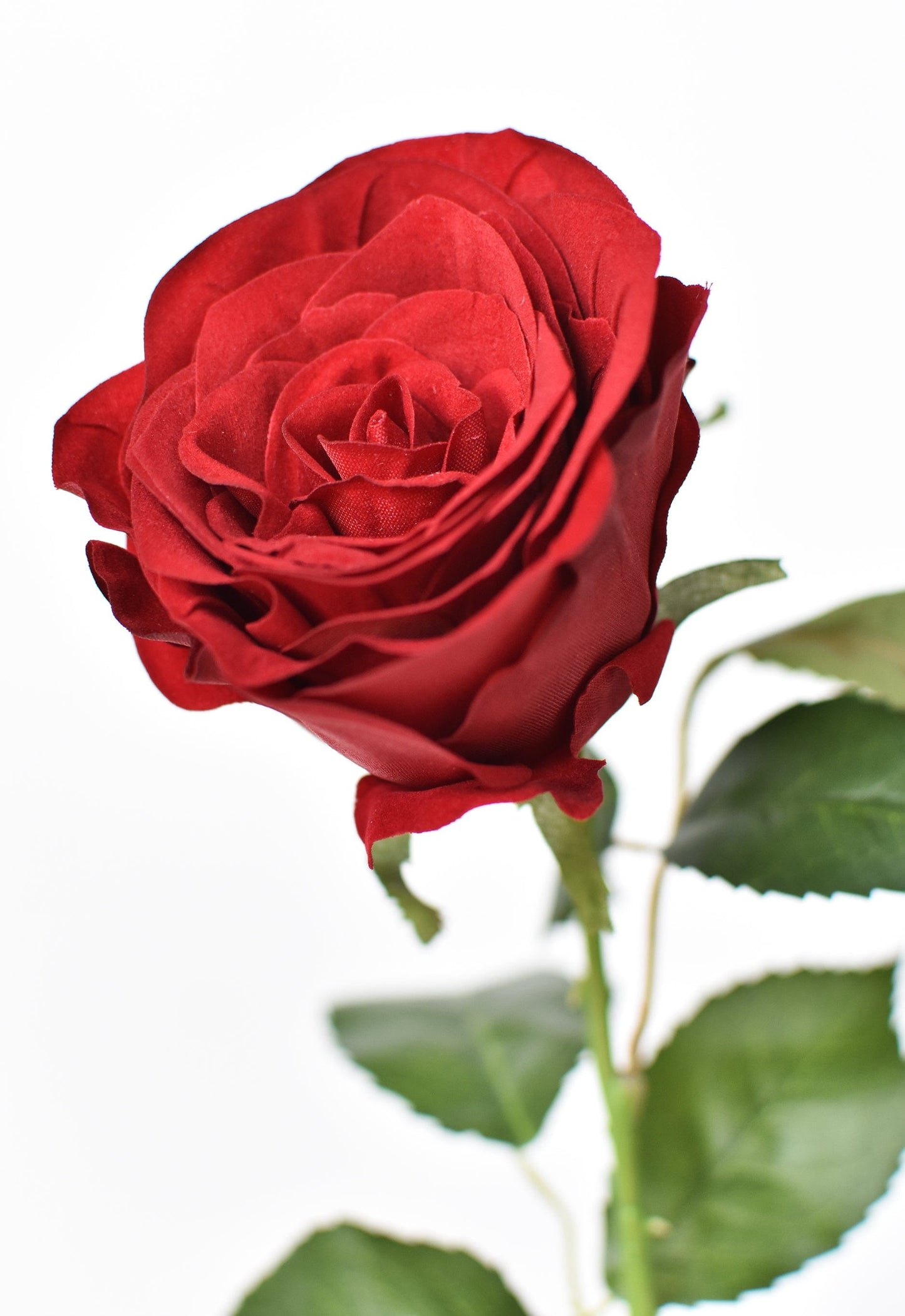 22" Faux Red Velvet Rose Stem (Online exclusive)