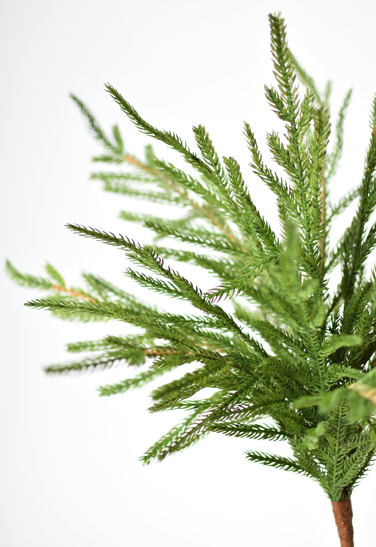 20" Faux Green Norfolk Pine Bush (Online exclusive)