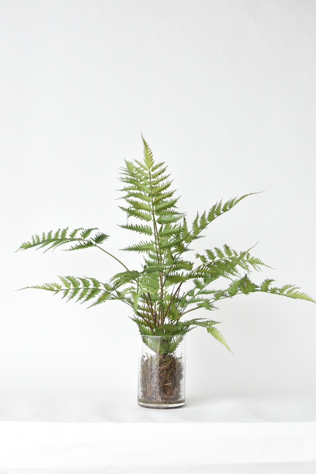 25" Faux Forest Fern in Glass Vase  (online exclusive)