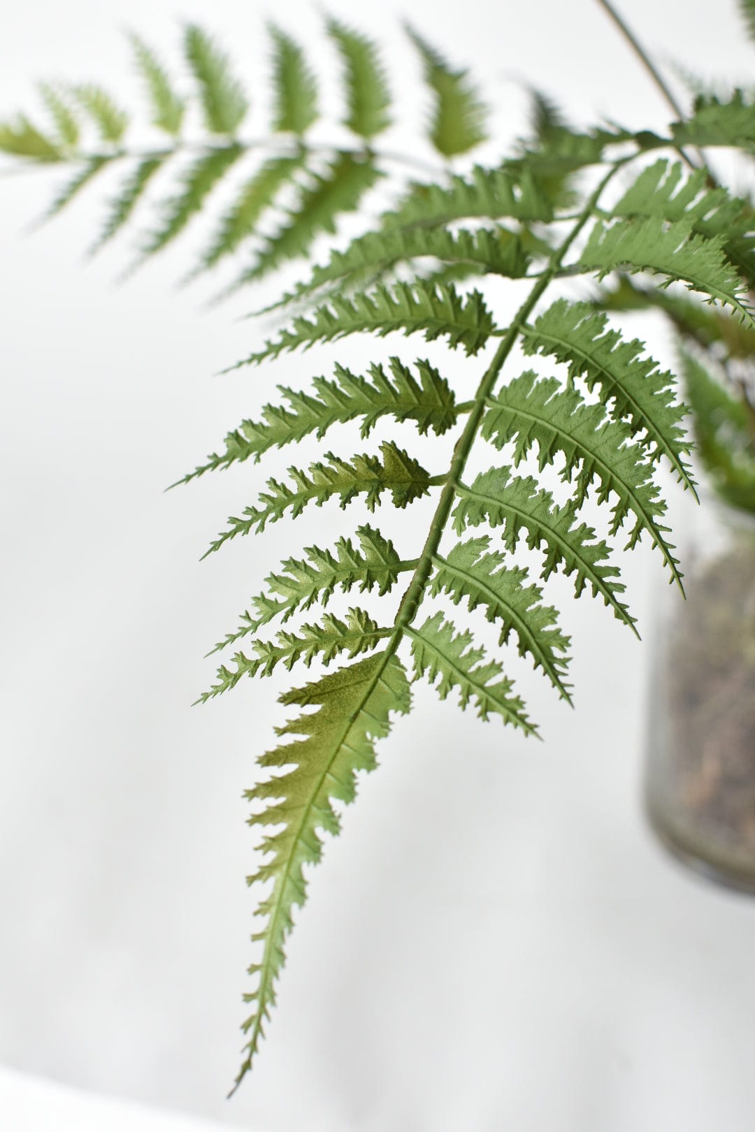25" Faux Forest Fern in Glass Vase  (online exclusive)