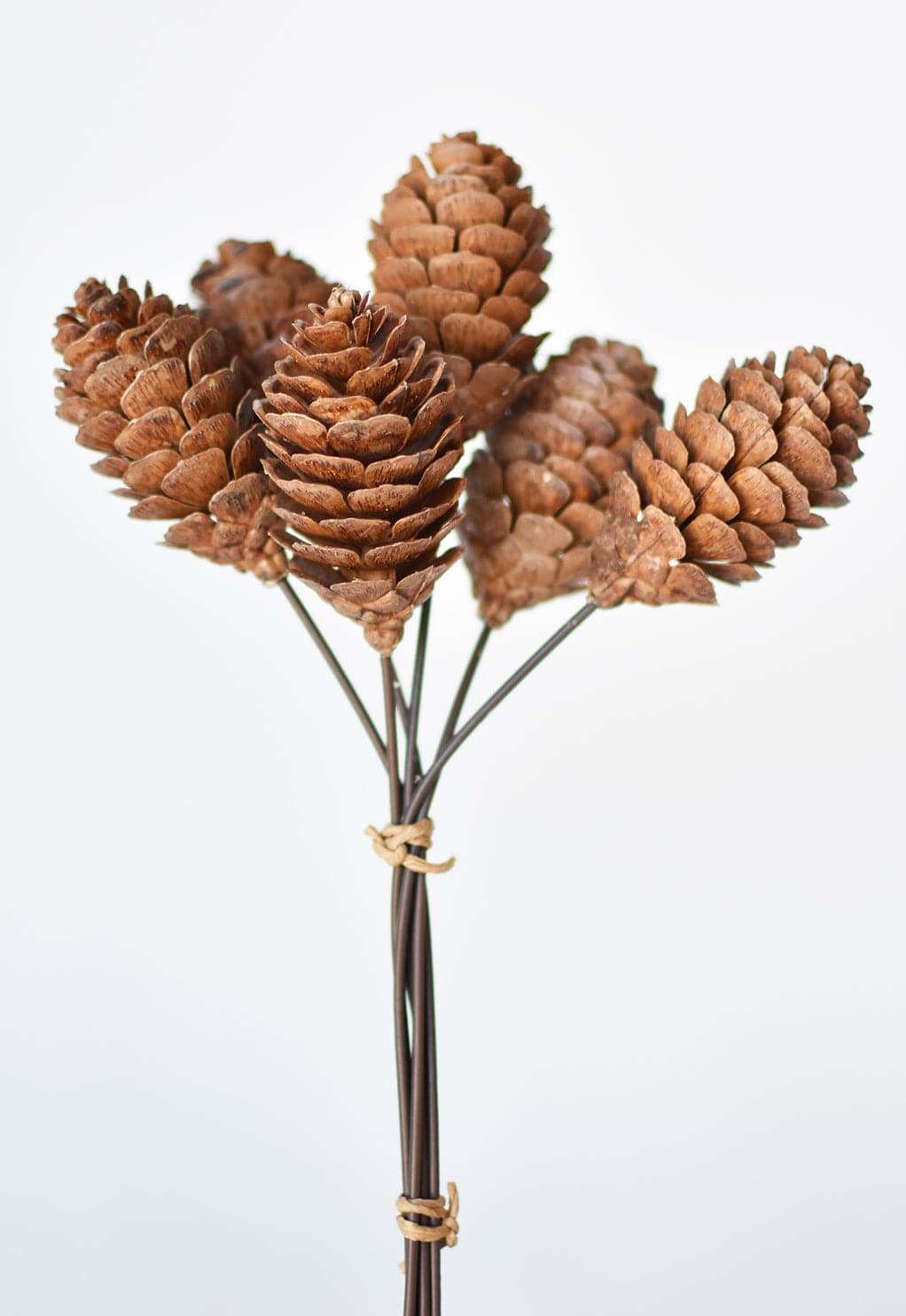 10" Faux Pinecone Stem Bundle (Online exclusive)