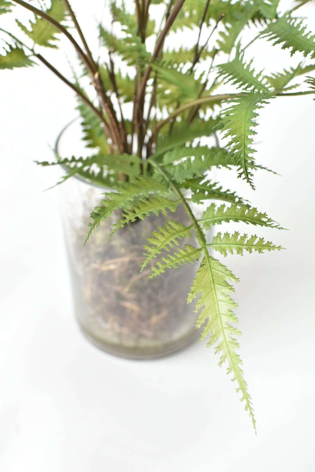 25" Faux Forest Fern in Glass Vase  (online exclusive)
