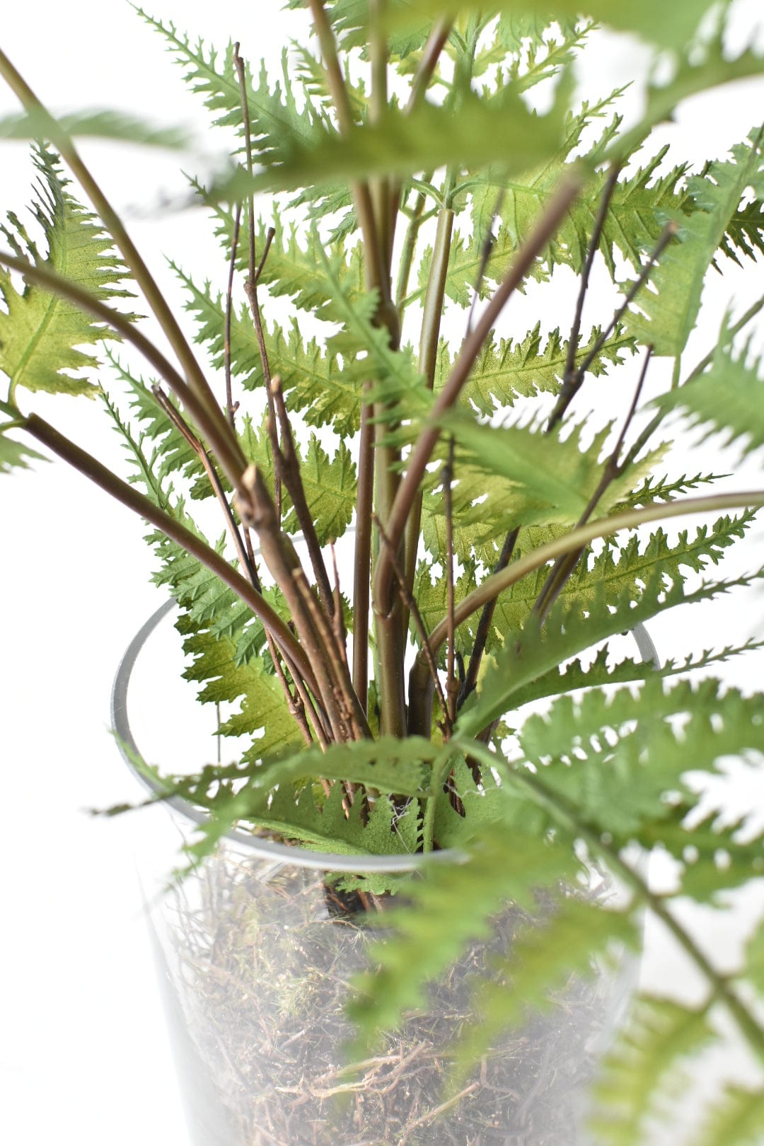 25" Faux Forest Fern in Glass Vase  (online exclusive)