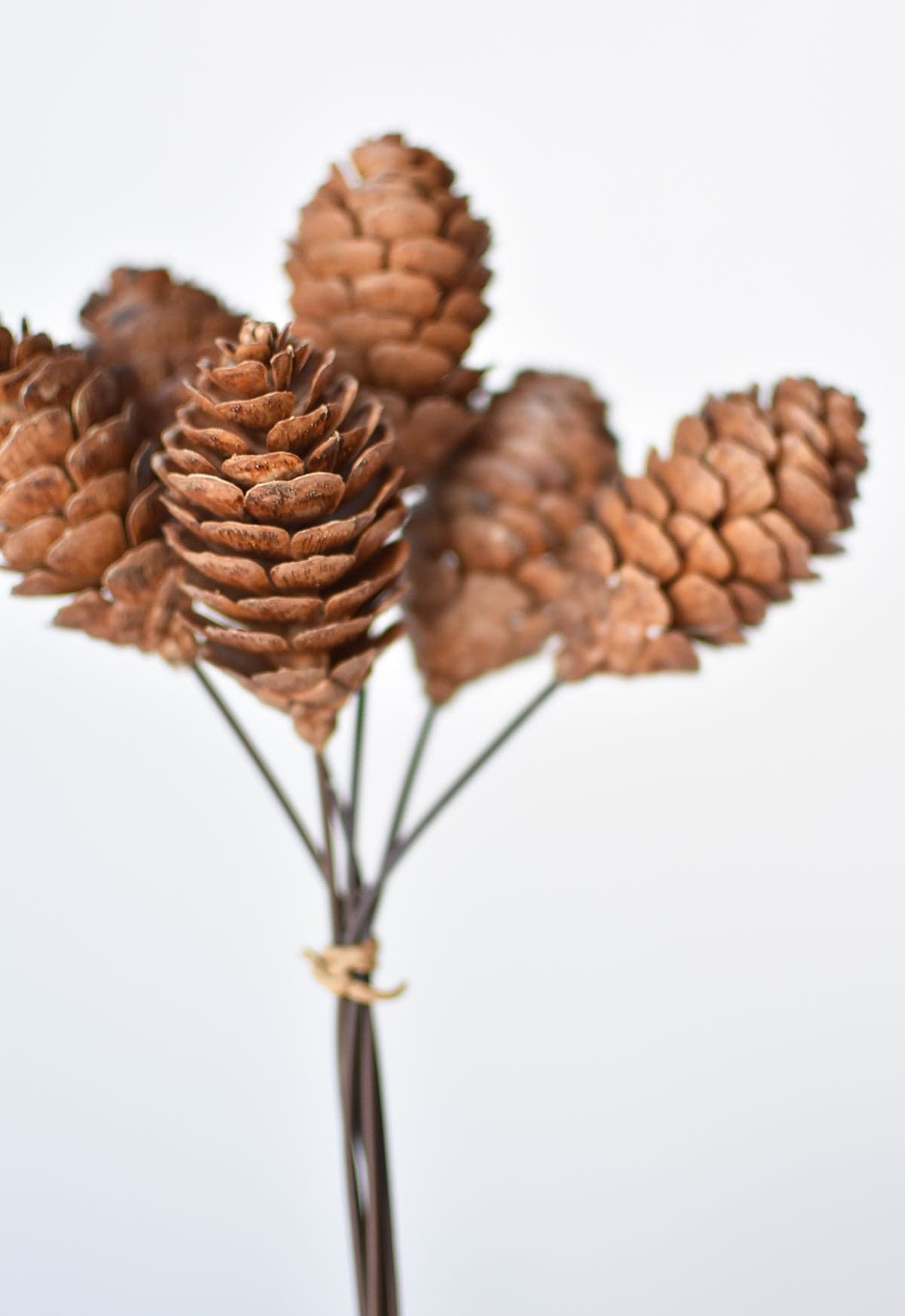 10" Faux Pinecone Stem Bundle (Online exclusive)