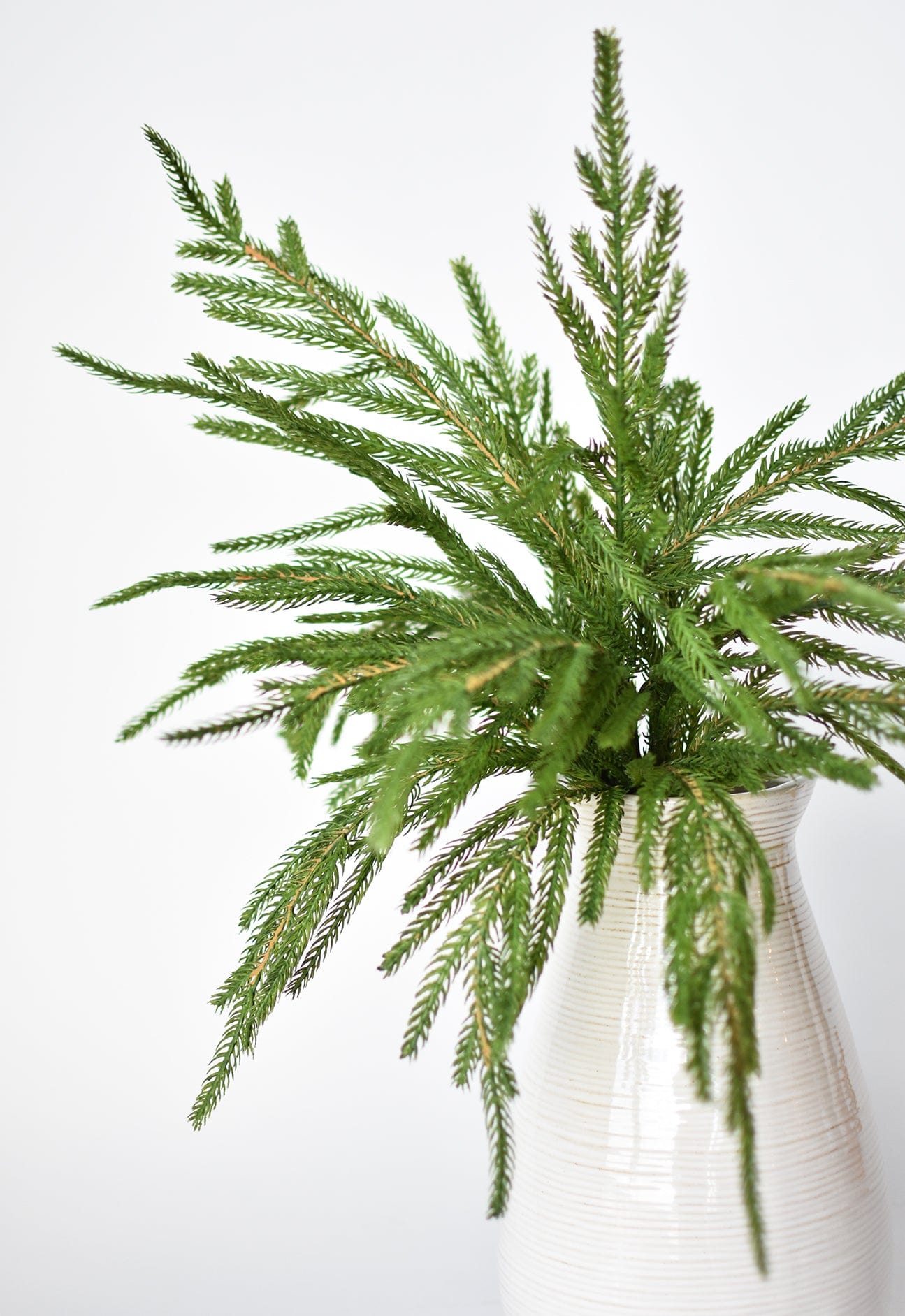20" Faux Green Norfolk Pine Bush (Online exclusive)