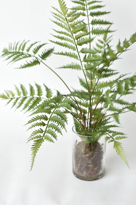 25" Faux Forest Fern in Glass Vase  (online exclusive)