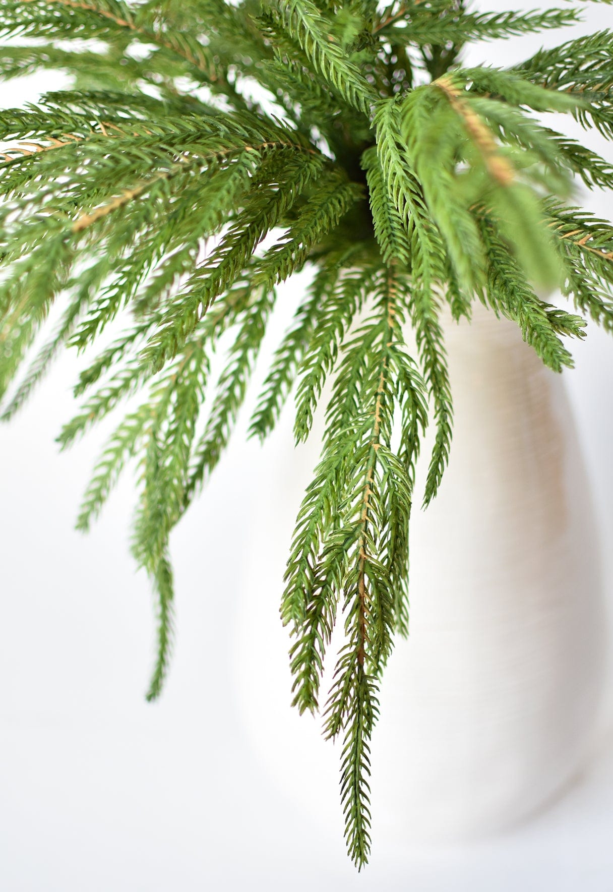 20" Faux Green Norfolk Pine Bush (Online exclusive)