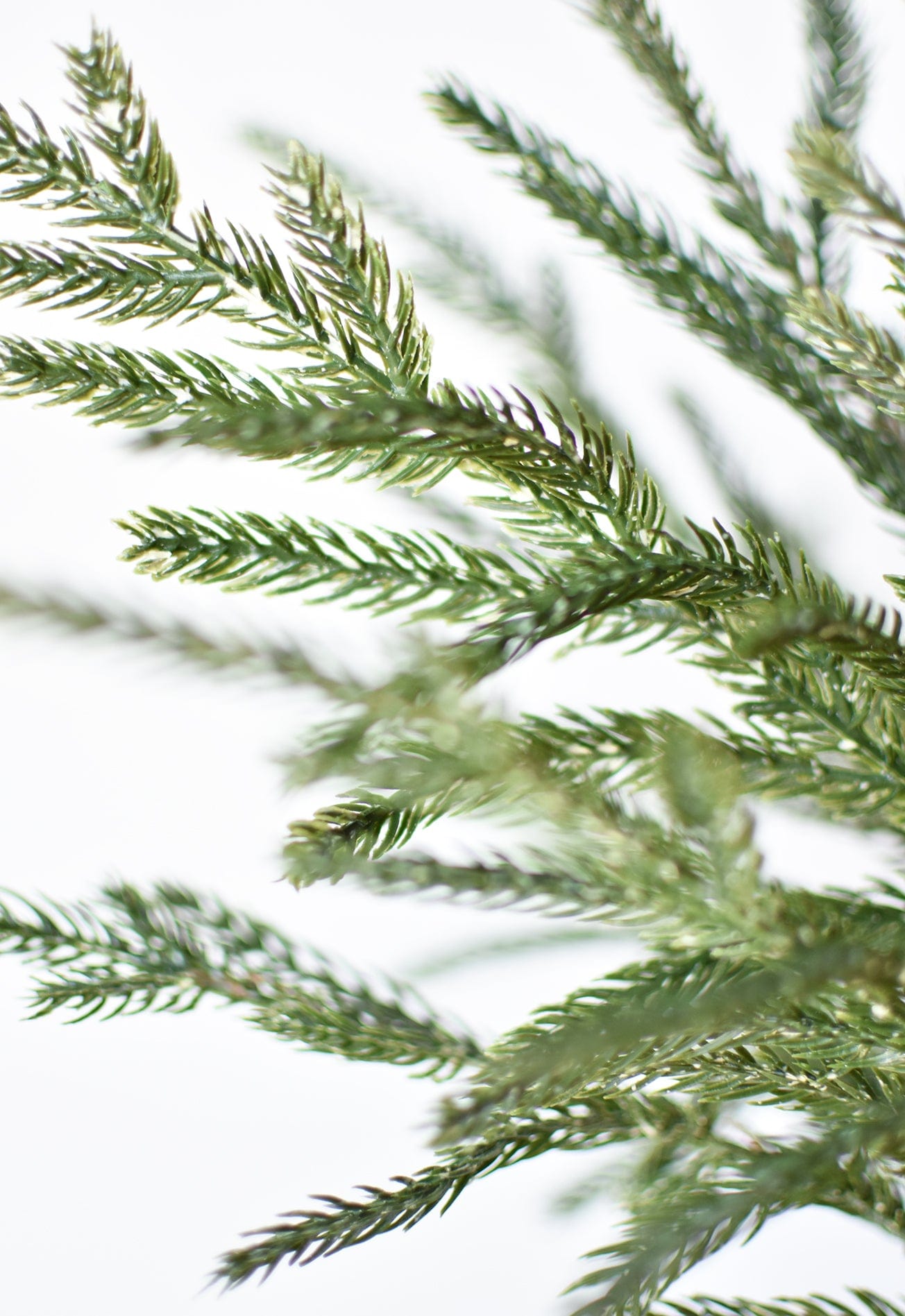 20" Faux Whitewash Green Norfolk Pine Spray Bush (Online exclusive)