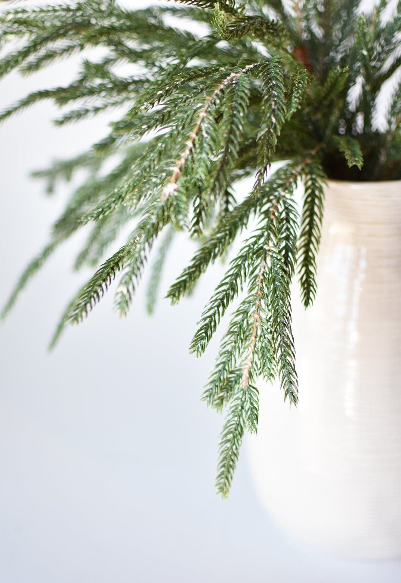 20" Faux Whitewash Green Norfolk Pine Spray Bush (Online exclusive)