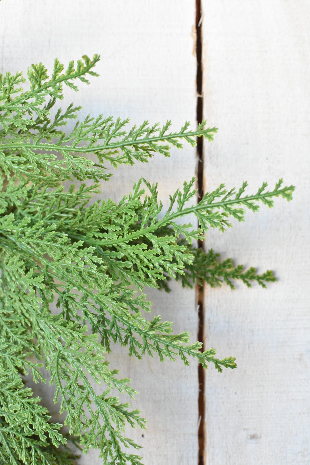 Small Cedar Wreath (4.5" Center Ring) CW2 (Online exclusive)