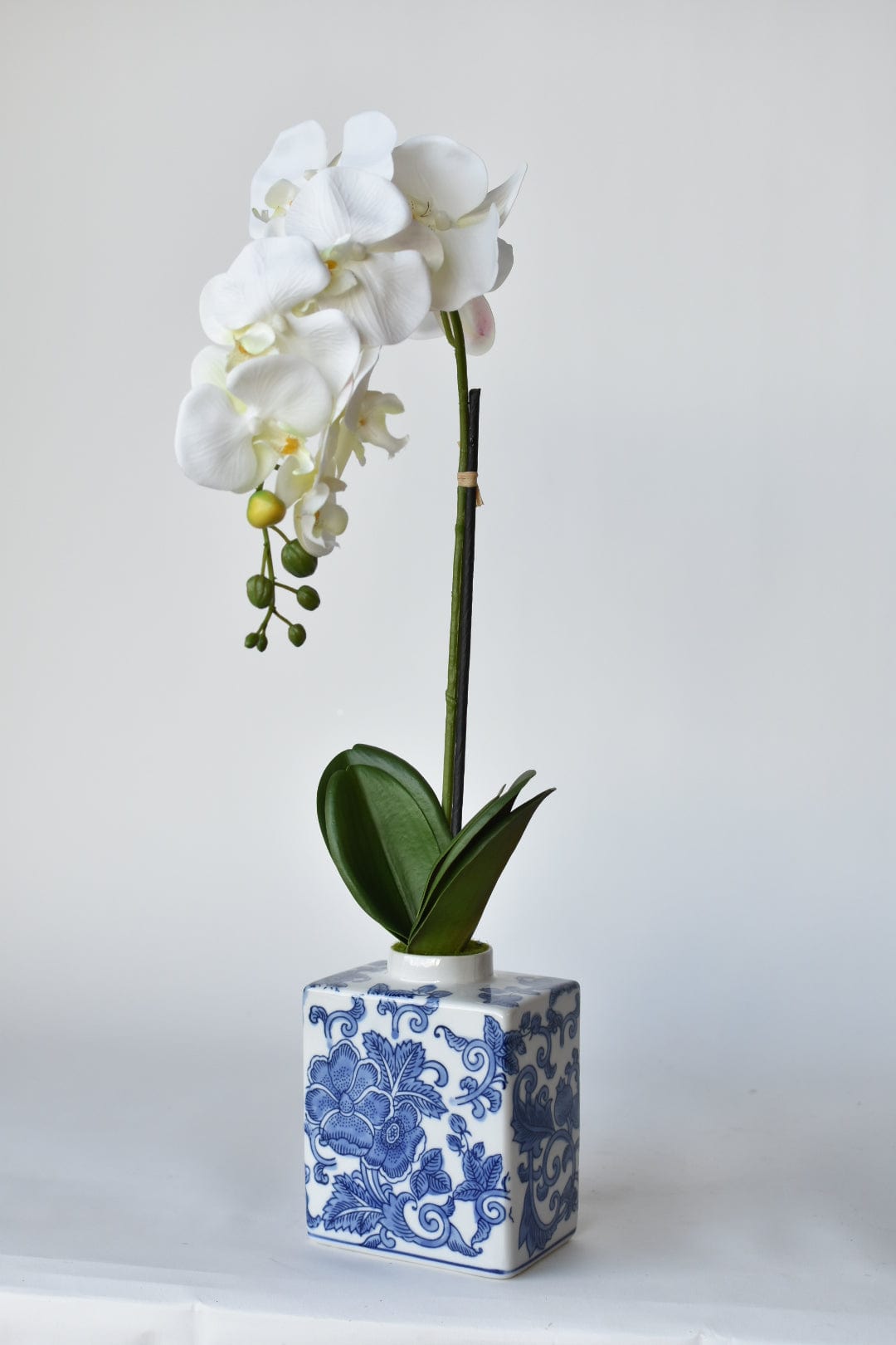 22" Faux Phalaenopsis Orchid in Blue/White Container (Online Exclusive)