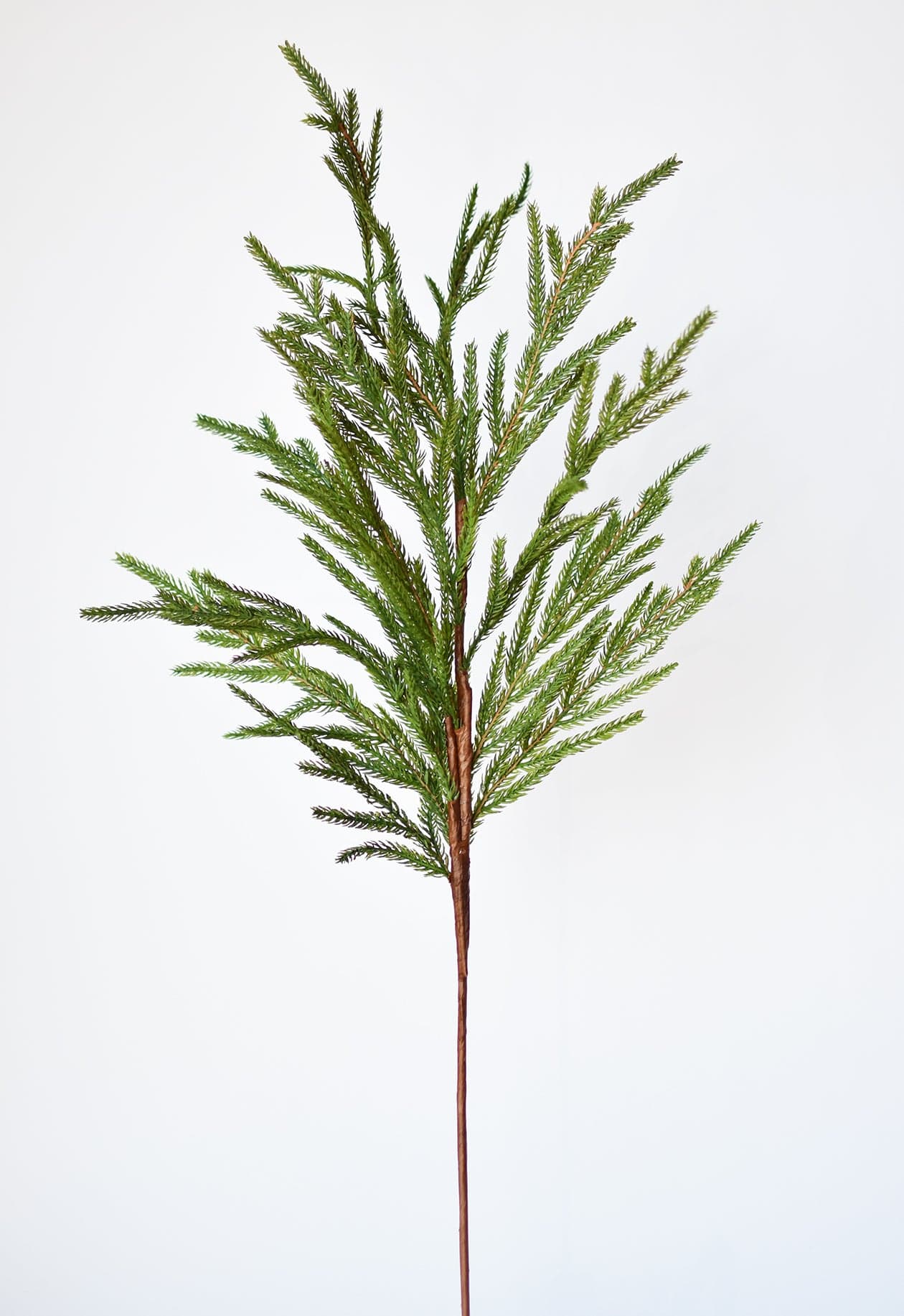 36" Faux Green Norfolk Pine - Cypress Spray Stem (Online exclusive)