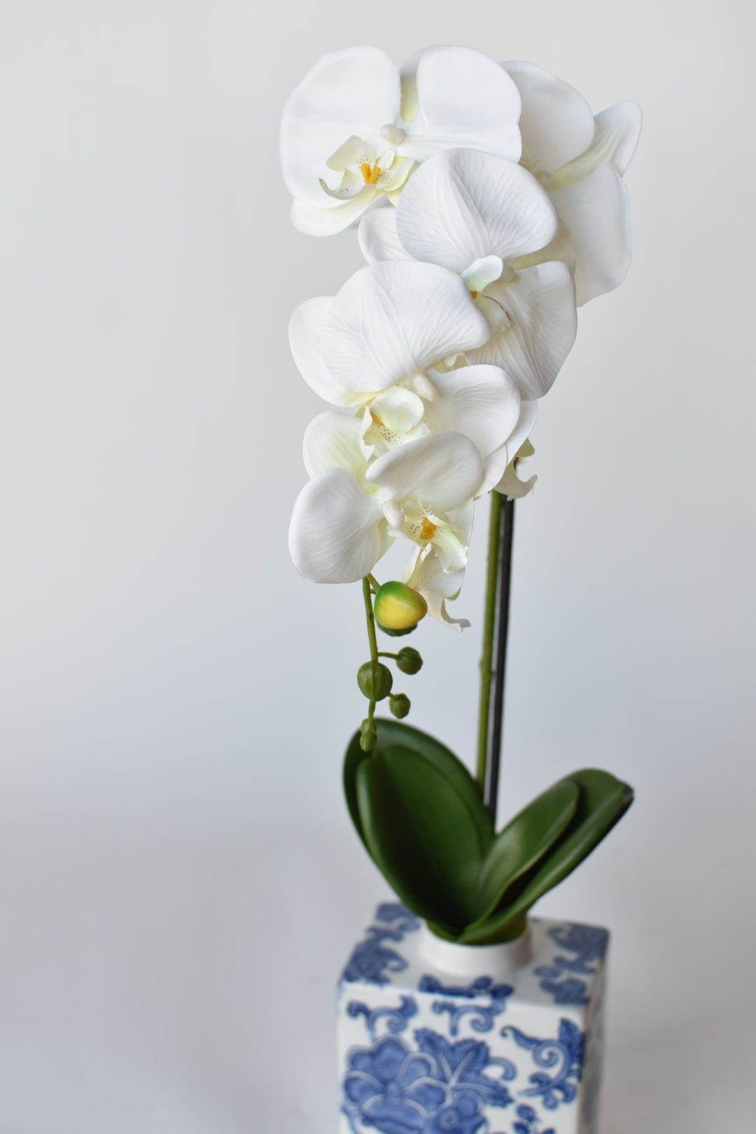 22" Faux Phalaenopsis Orchid in Blue/White Container (Online Exclusive)