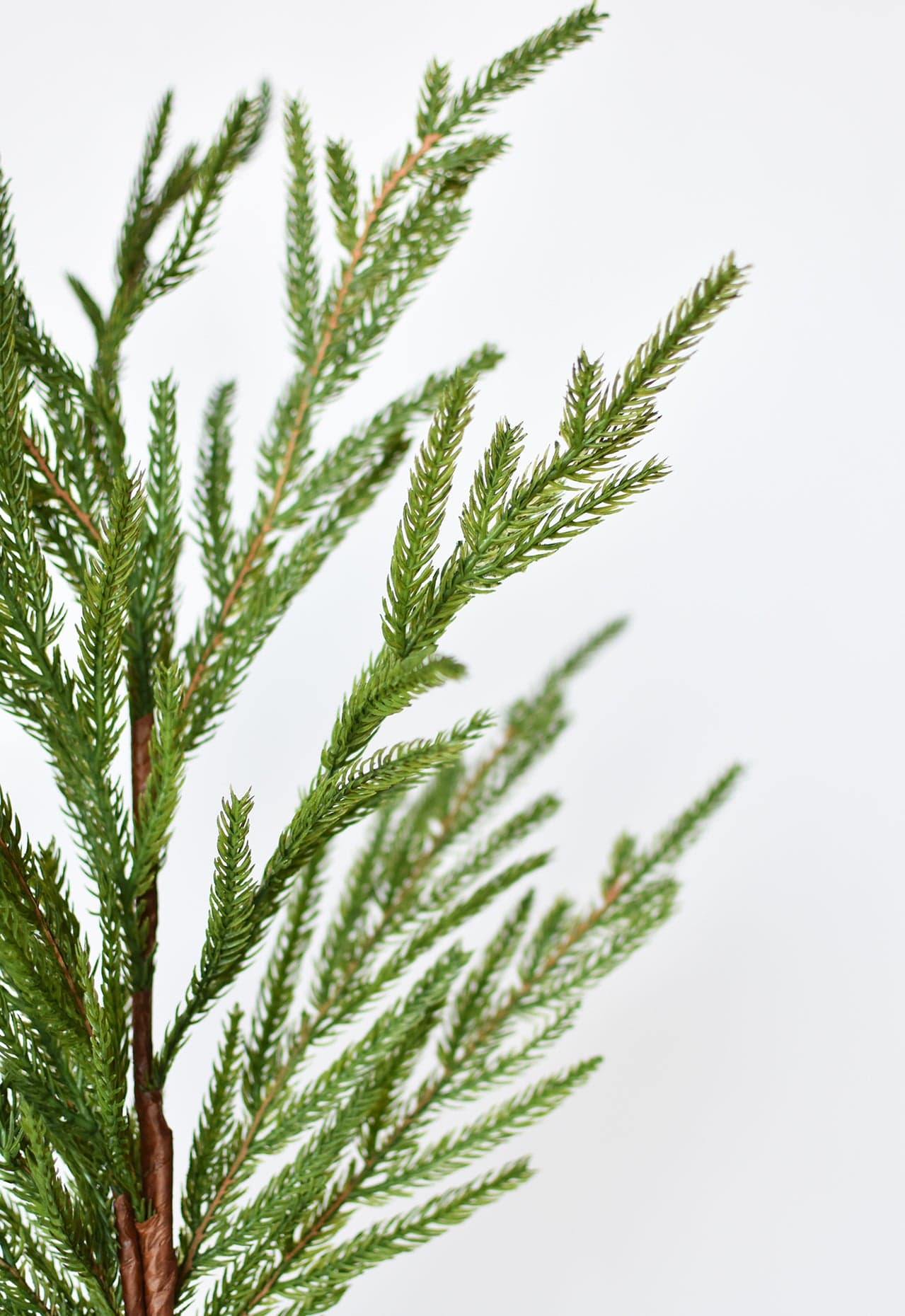 36" Faux Green Norfolk Pine - Cypress Spray Stem (Online exclusive)