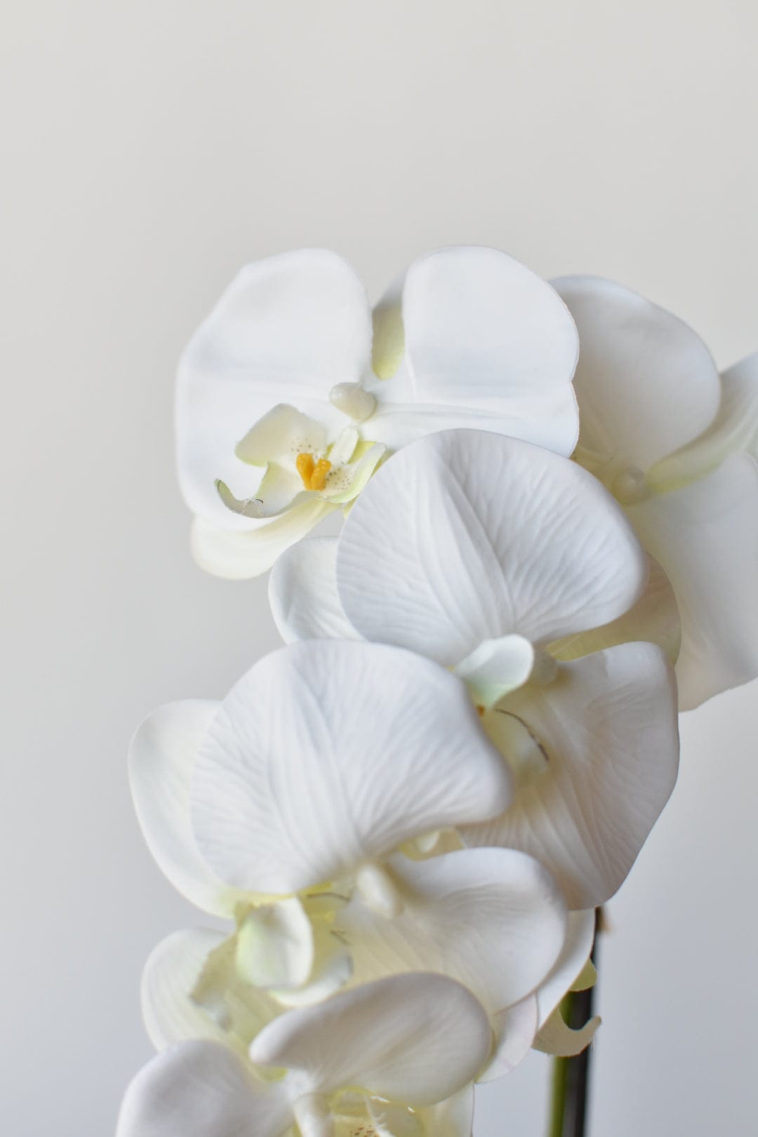 22" Faux Phalaenopsis Orchid in Blue/White Container (Online Exclusive)