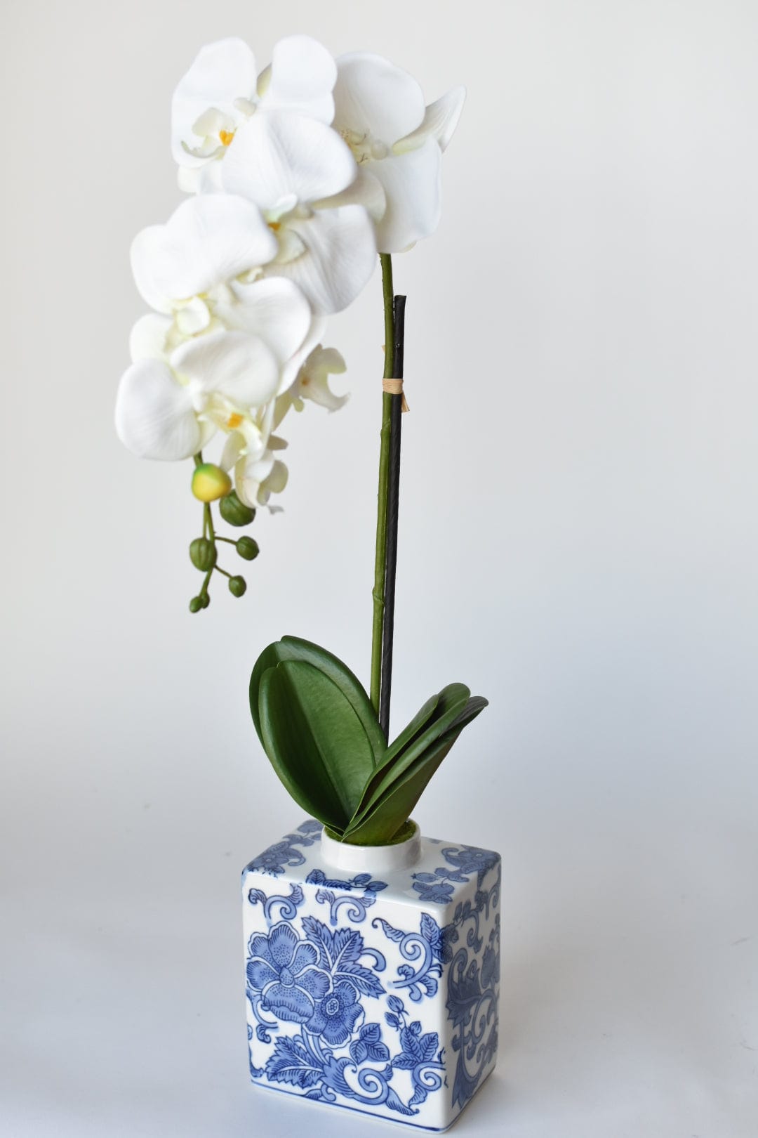 22" Faux Phalaenopsis Orchid in Blue/White Container (Online Exclusive)