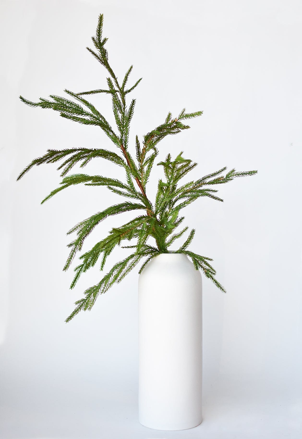 36" Faux Green Norfolk Pine - Cypress Spray Stem (Online exclusive)