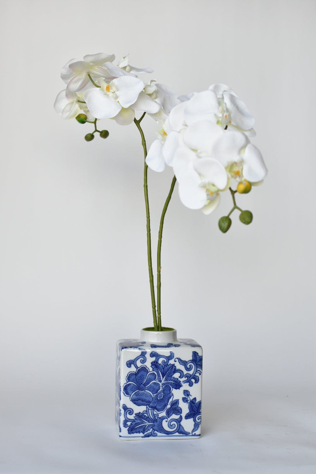 20" Faux Phalaenopsis Orchid in Blue/White Container (Online Exclusive)