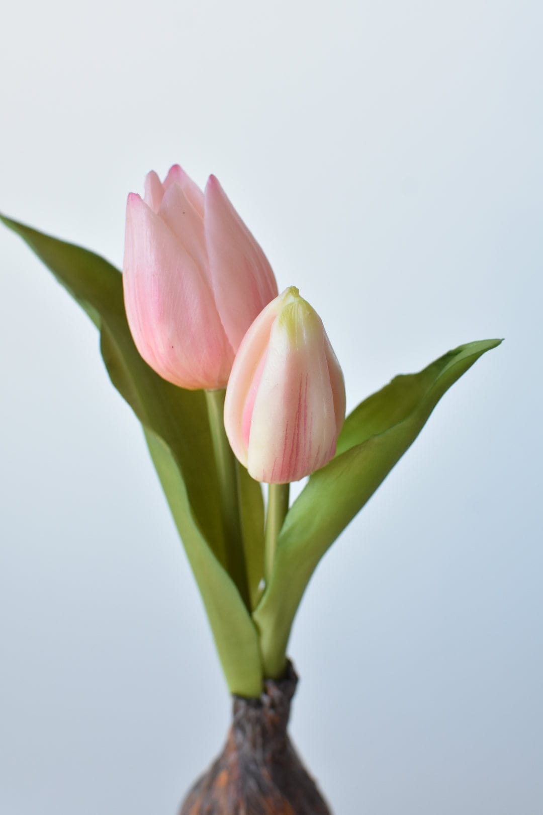 8" Faux Real Touch Soft Pink Tulips in Bulb w/pick (Online exclusive)