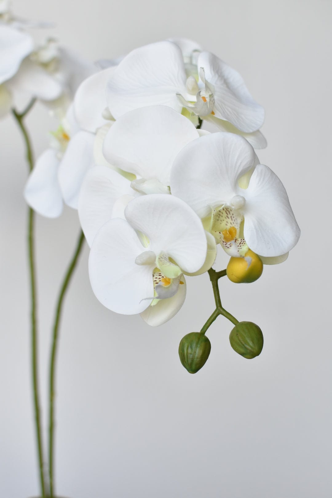 20" Faux Phalaenopsis Orchid in Blue/White Container (Online Exclusive)