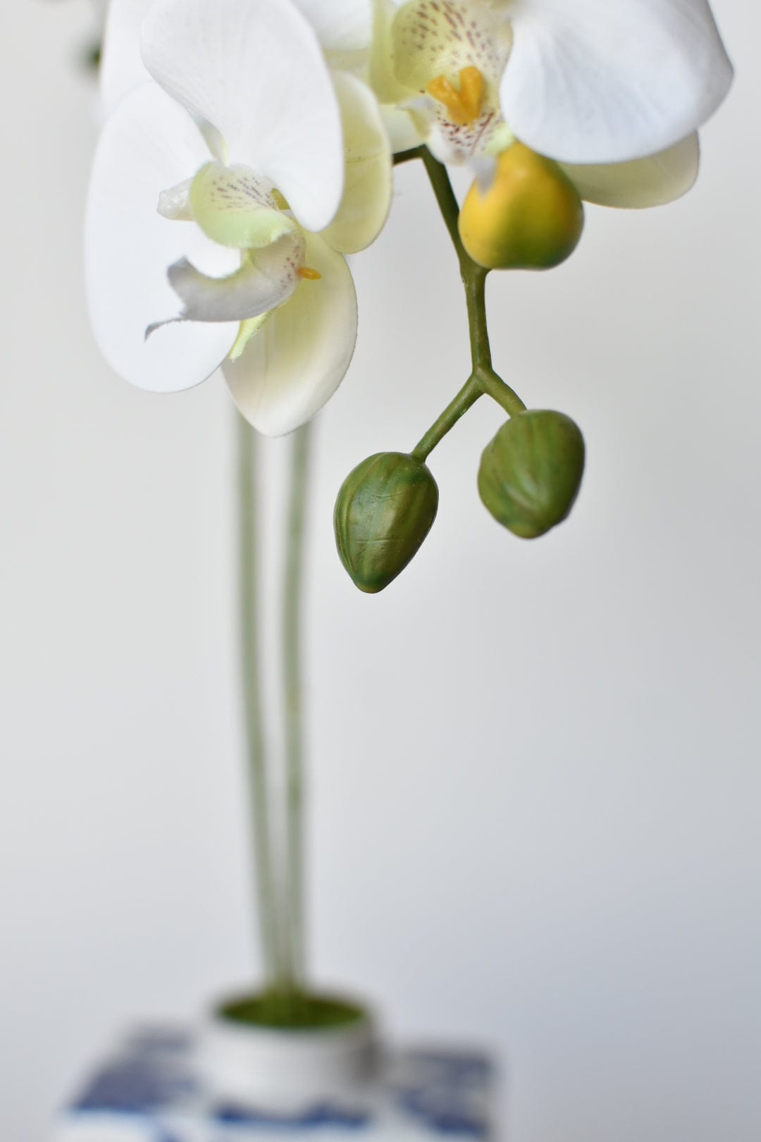 20" Faux Phalaenopsis Orchid in Blue/White Container (Online Exclusive)