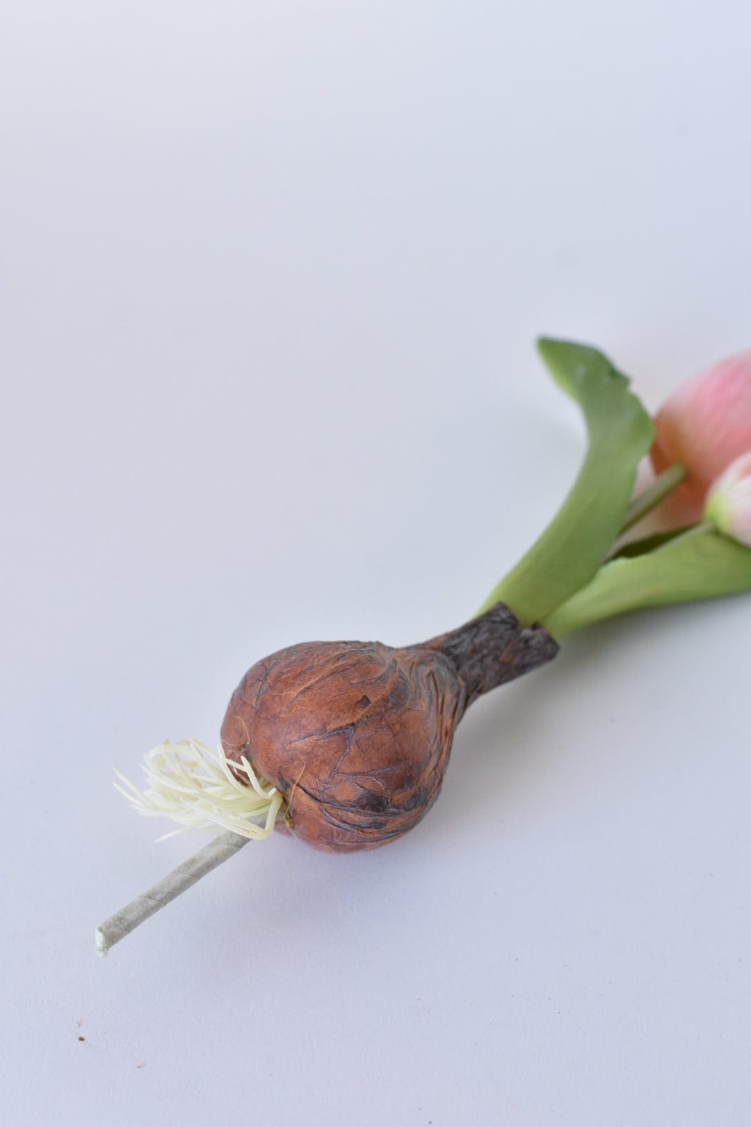 8" Faux Real Touch Soft Pink Tulips in Bulb w/pick (Online exclusive)