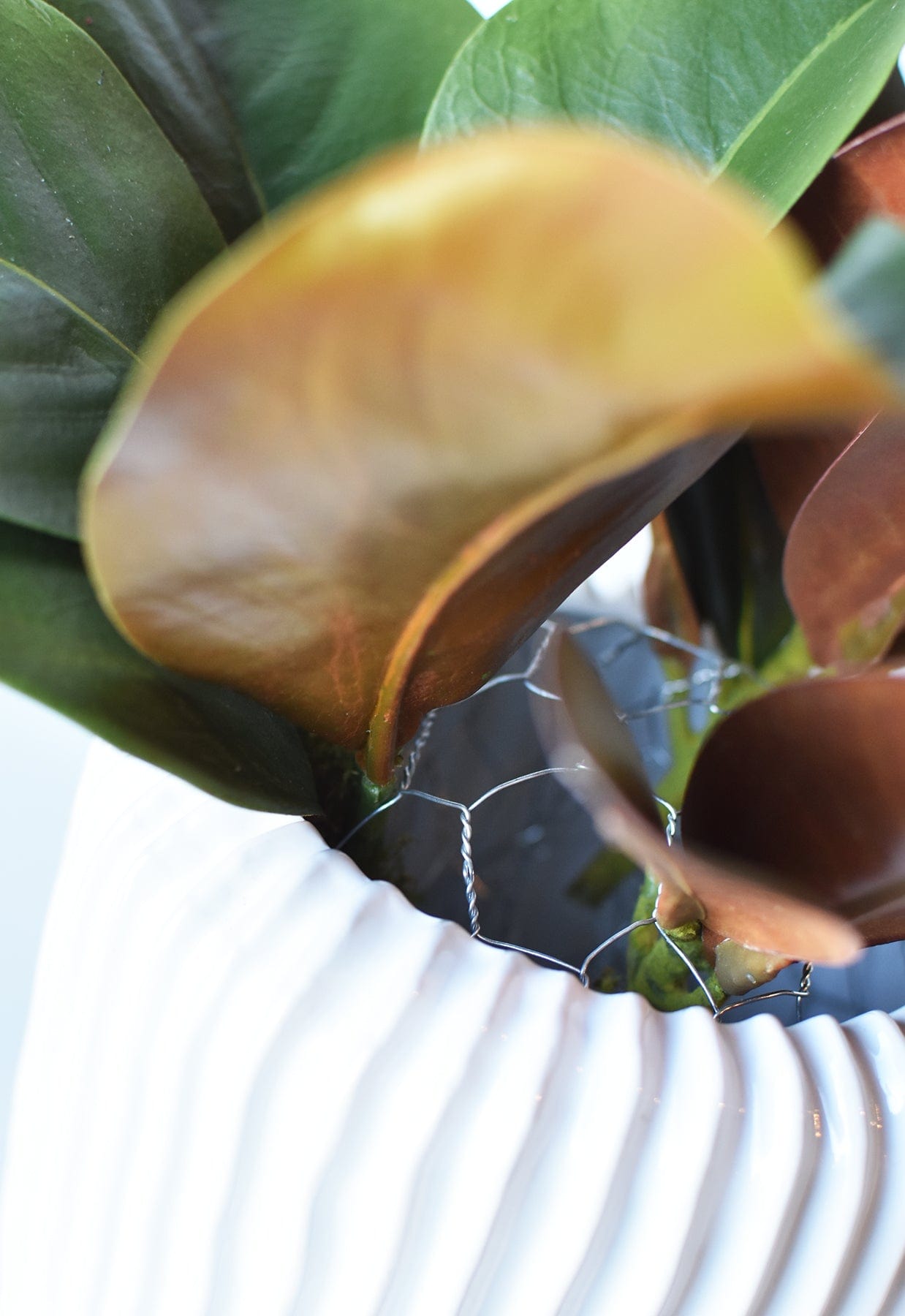 12" x 24" Chicken Wire Net (Online exclusive)