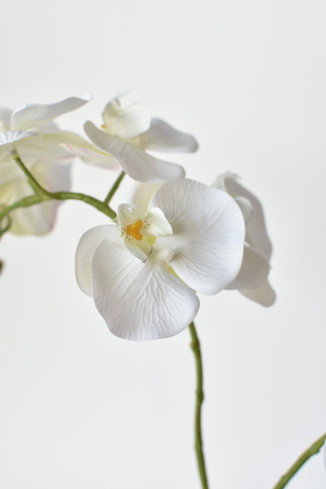 20" Faux Phalaenopsis Orchid in Blue/White Container (Online Exclusive)