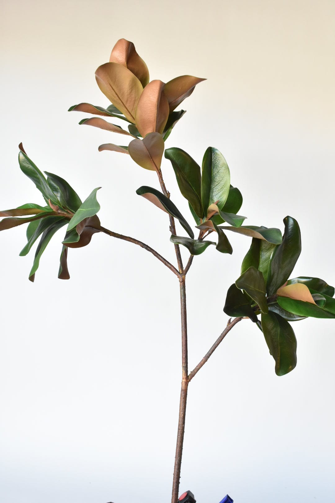 40" Faux Magnolia Leaf Branch (Online exclusive)