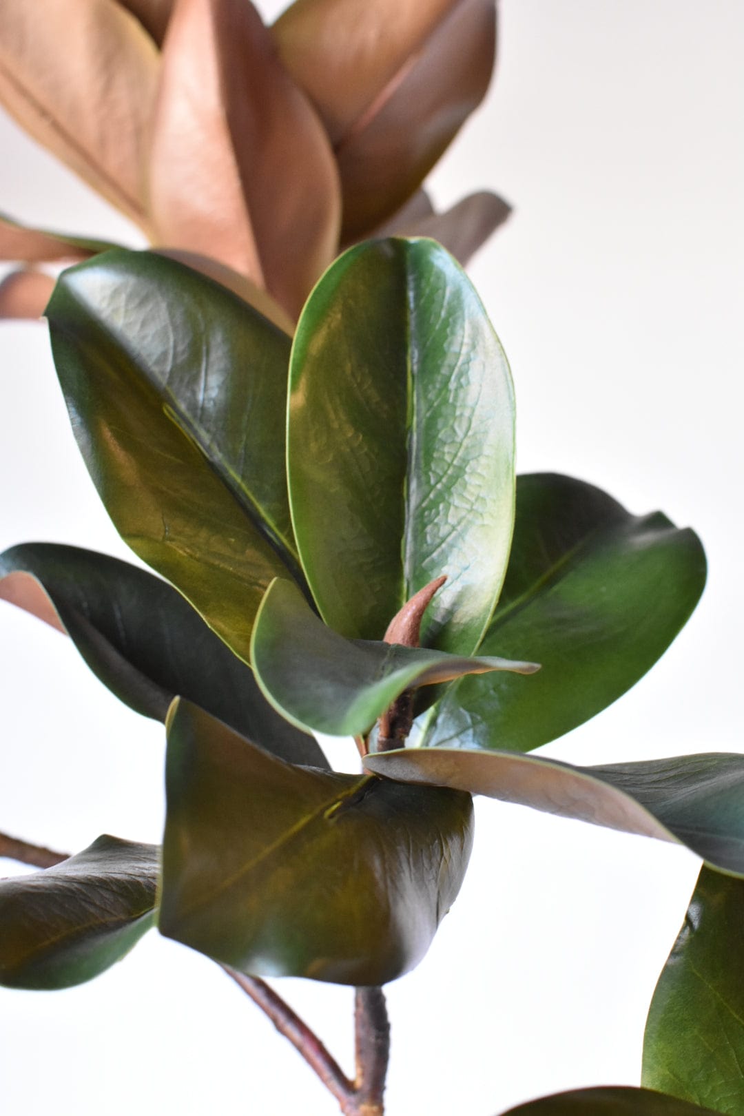40" Faux Magnolia Leaf Branch (Online exclusive)